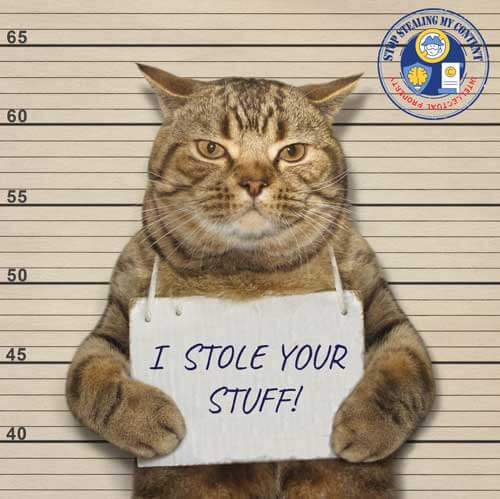 cat in style of a mug shot with sign saying "I stole your stuff!"